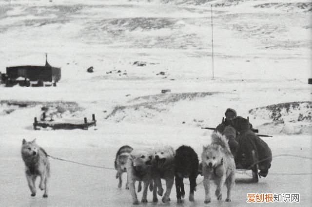 为什么格陵兰岛和冰岛名字是反的