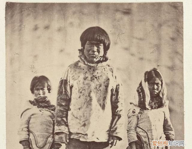 为什么格陵兰岛和冰岛名字是反的