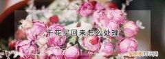 干花怎么打理，干花买回来怎么处理好