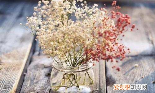 干花怎么打理，干花买回来怎么处理好