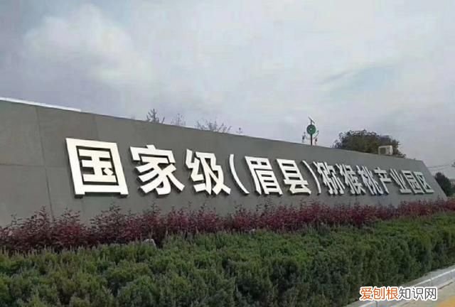 猕猴桃翠香还是徐香好吃 徐香和翠香猕猴桃的区别