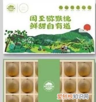 猕猴桃翠香还是徐香好吃 徐香和翠香猕猴桃的区别