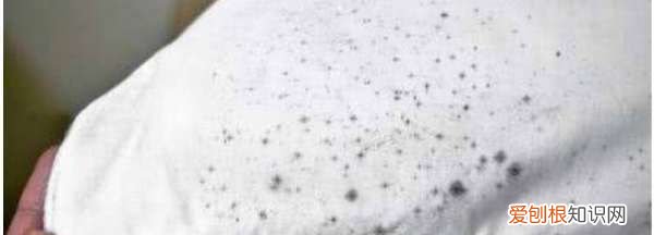 白色毛衣发霉怎么洗掉