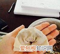 扁食馅怎么做好吃，天台扁食馅做法大全