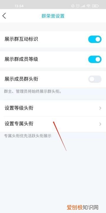 qq群头衔怎么不显示，QQ群怎么设置荣誉头衔