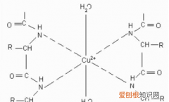 氨根离子是什么结构，亚硫酸根离子的空间结构是什么