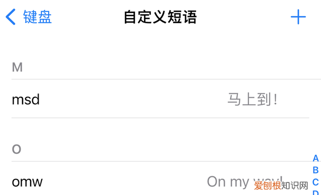 苹果手机在哪设置键盘的打字速度