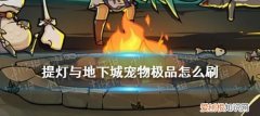 提灯与地下城极品宠物怎么来，提灯与地下城怎么出极品宠物
