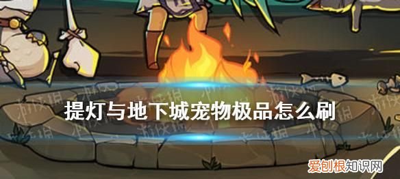 提灯与地下城极品宠物怎么来，提灯与地下城怎么出极品宠物