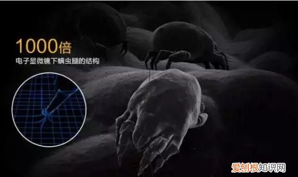 实惠的乳胶床垫,限时抢购是真的吗