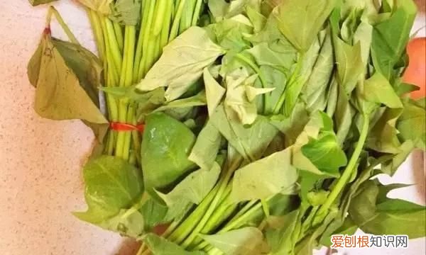 人工种的人参叶子降血糖吗 哪种植物叶子能降血糖