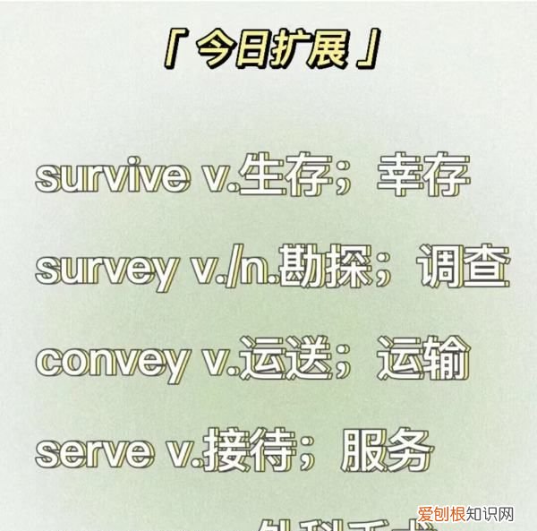 survey怎么读，survey的过去式是什么