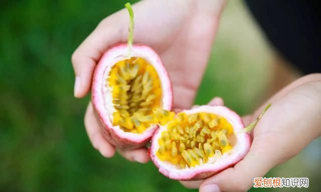 百香果可以泡酒吗 百香果泡酒的做法和比例