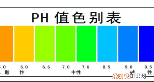ph的计算公式，ph等于什么公式
