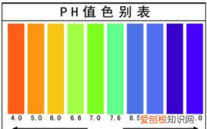 蹦迪中的ph什么意思，成都ph和playhouse区别