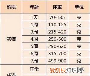 布偶猫多少斤，布偶猫能长到多少厘米