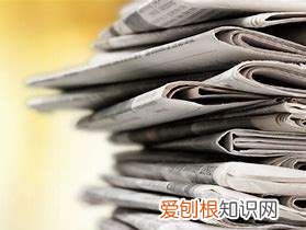 newspaper可数