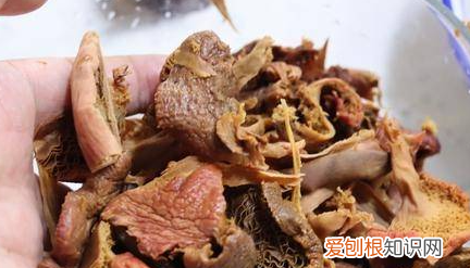 红菇怎么做好吃,红菇炒五花肉如何做好吃