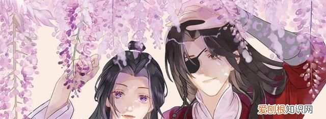 死神没有休息日简称,死神没有休息日是双男主吗