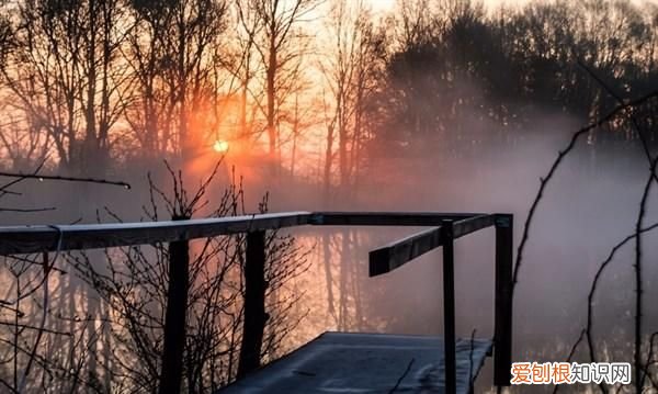 早上好短句心情说说,早上好唯美短句说说