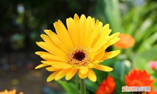 早上好短句心情说说,早上好唯美短句说说