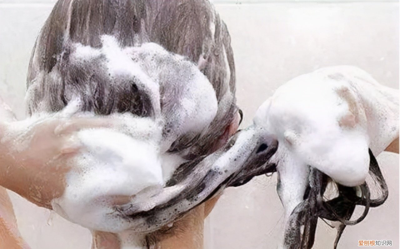 碱性洗发水有哪些？