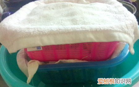 生绿豆芽的方法