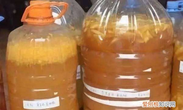 农田堆肥制作方法，厨余垃圾堆肥的制作方法