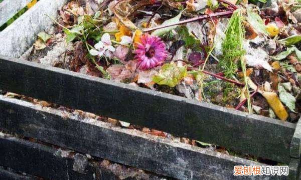 农田堆肥制作方法，厨余垃圾堆肥的制作方法