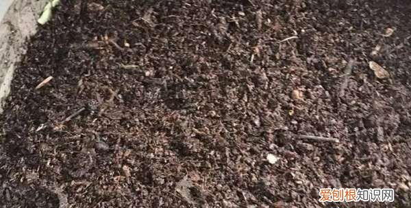 农田堆肥制作方法，厨余垃圾堆肥的制作方法