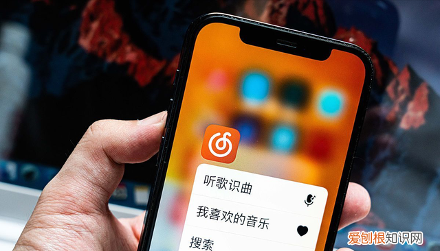 网易云会员最多可以几个人用,网易云会员能多人使用吗