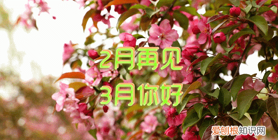 三月你好静待春暖 三月你好春暖花开如约而至