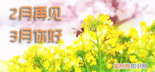 三月你好静待春暖 三月你好春暖花开如约而至