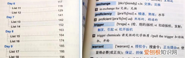 背考研词汇考四级行，要过英语四六级直接背考研英语词汇可以吗