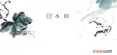 三下第十五课小虾教材解析,三年级第十五课小虾的好句