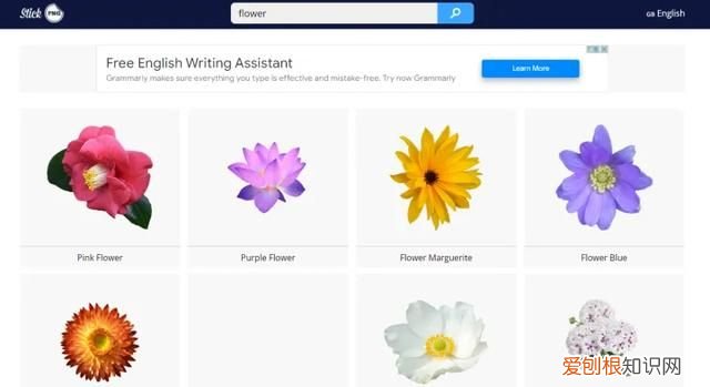 从哪里可以找到p图的素材 p图的素材哪里找