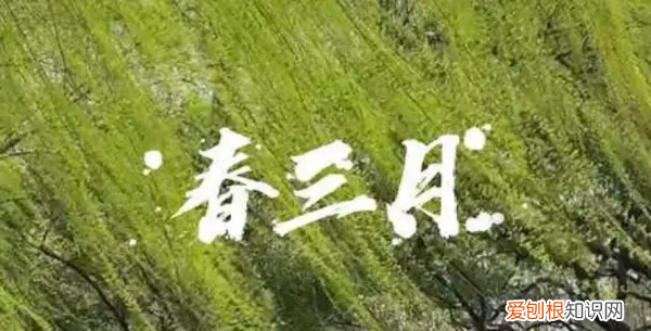 万物苏是什么歌，恋爱百花开是什么歌