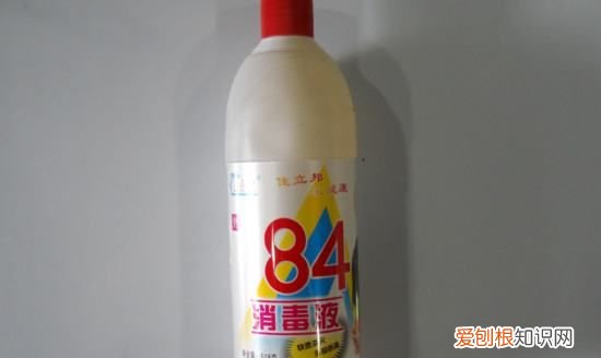 84消毒液有漂白的作用毒，84消毒液可以漂白衣服上的霉点吗