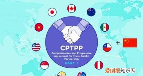 cptpp有哪几个国家，cptpp成员国是哪几个