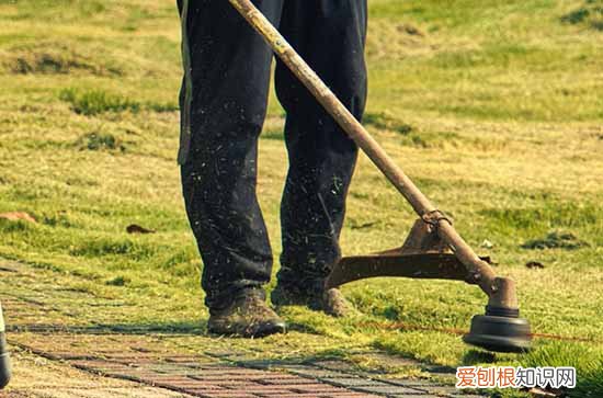 2023劳动节倒计时日历 距离2023劳动节还有多少天