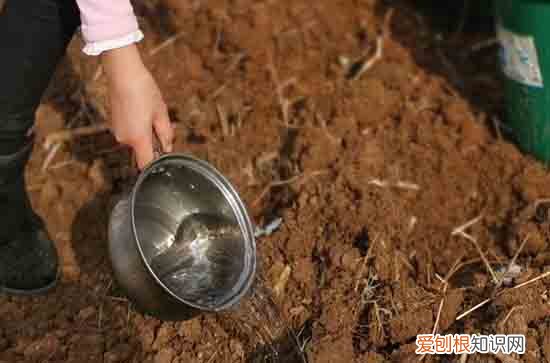 2023劳动节放假高速放假免费吗 2023劳动节高速免费时间