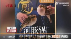 顾客海底捞吃河豚中毒，市监局回应来了