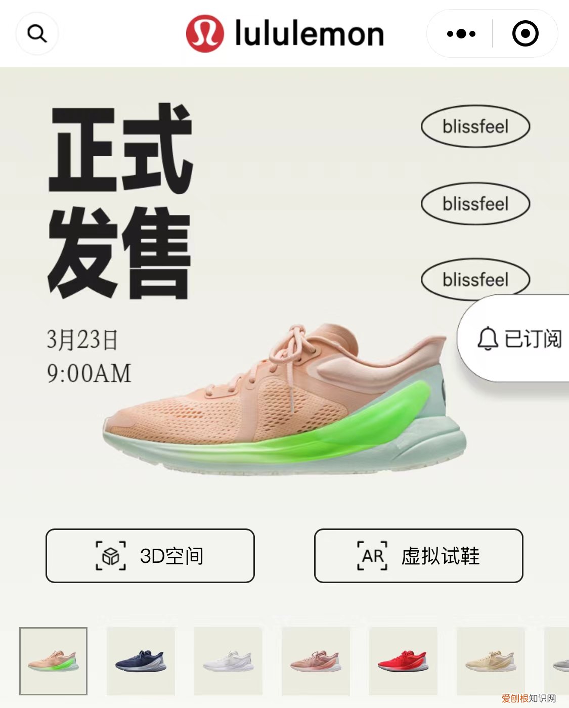 女式跑步鞋哪个品牌好