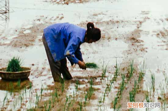 2023五一劳动节高速免费时间表 51劳动节高速免费吗2023