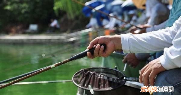 夏天钓鱼用几号钩，夏天钓鲫鱼用几号袖钩最好