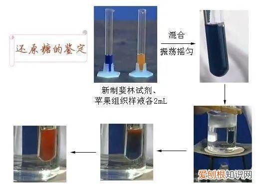 benedict试剂是什么，本乃狄试剂检测还原糖