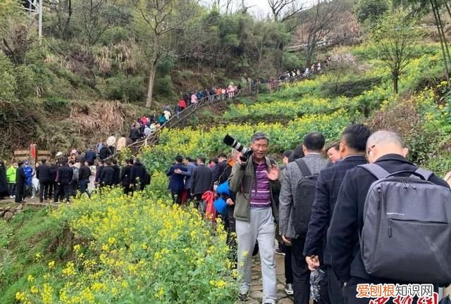 中国最美乡村江西婺源在哪里,2022年婺源油菜花赏花最佳时间
