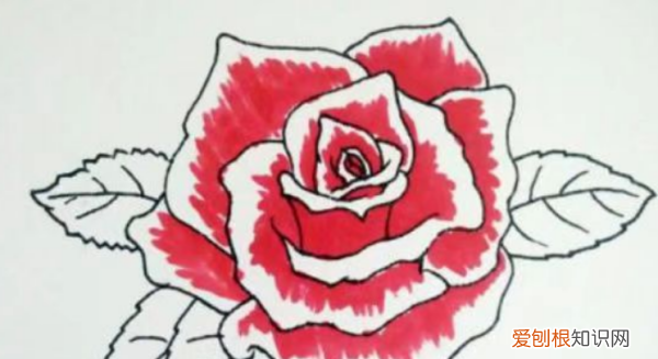 花瓣怎么画简单好看，玫瑰花花瓣怎么画简笔画