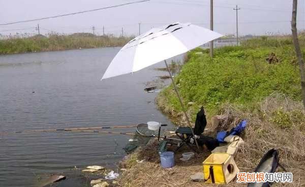 红虫钓鱼用怎么打窝，用红虫钓鱼用什么打窝料最好