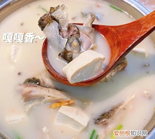 鲢鱼头豆腐汤做法，鱼头豆腐汤怎么做好吃又简单